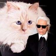 Karl Lagerfeld - Das macht seine Katze Choupette heute 