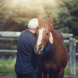  "Ich war so glücklich": Todkranker Mann muss geliebte Pferde verkaufen – seine Frau macht ihm wunderbare Überraschung