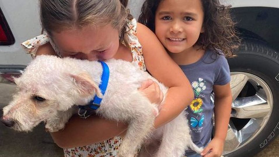 Überwältigende Freude - Vermisster Hund wird nach Wochen gefunden – und sorgt für tränenreiches Wiedersehen