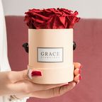 DHDL-Deal Grace Flowerbox Main