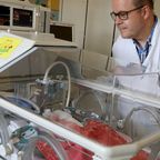 Laut Dirk Olbertz, Chefarzt der Neugeborenenmedizin des Klinikums Südstadt in Rostock, liegt die Frühgeburtenrate in Deutschland zwischen sieben und neun Prozent.