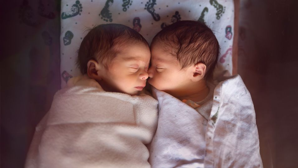 Gut gehütetes Geheimnis: Paar überrascht Familienmitglieder mit Zwillingen – und filmt ihre Reaktionen