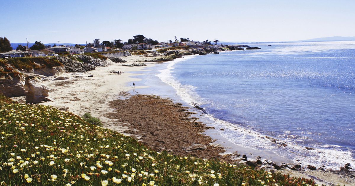 Santa Cruz in Kalifornien Surferparadies an der Monterey Bay BUNTE.de