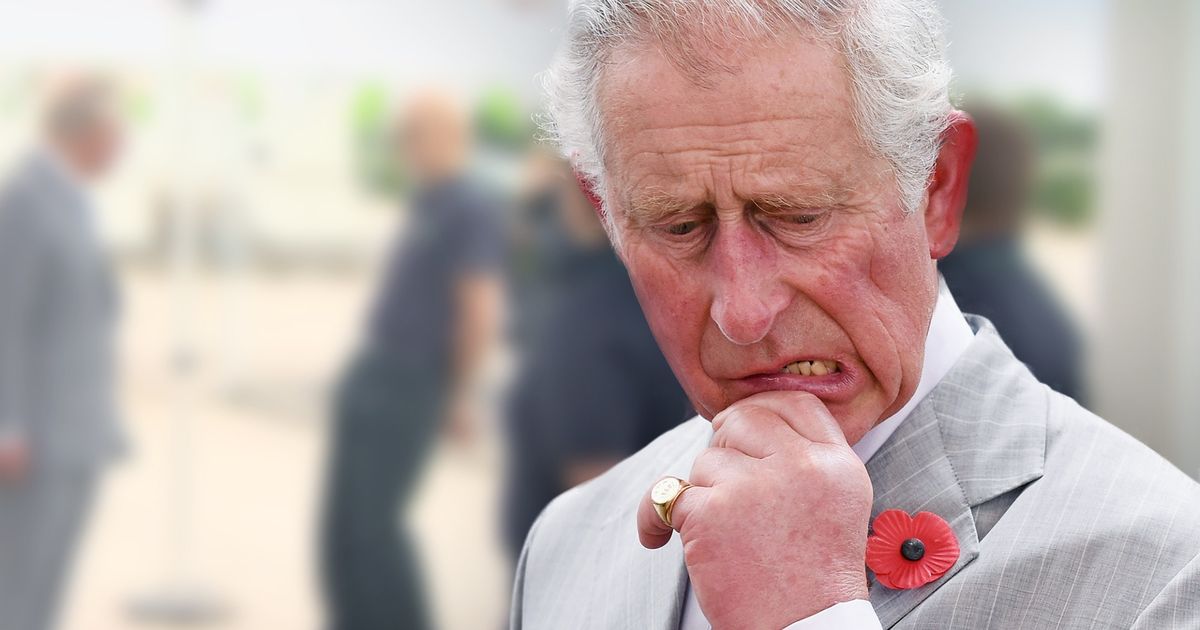 Prinz Charles: Gegenüber kippt um – so reagiert er | BUNTE.de