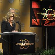 20th Annual Screen Actors Guild Award