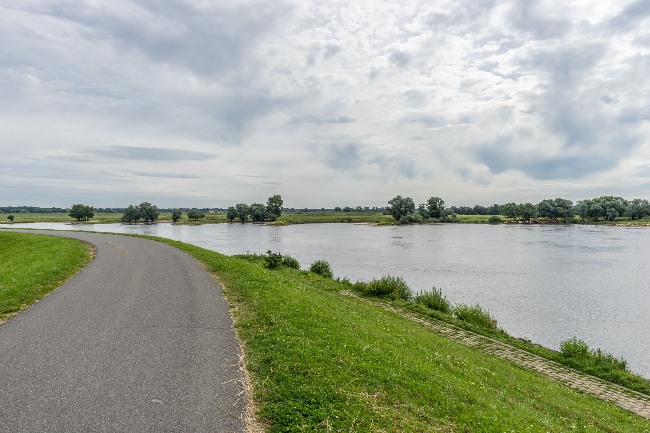 Elbe river cycle route in summer