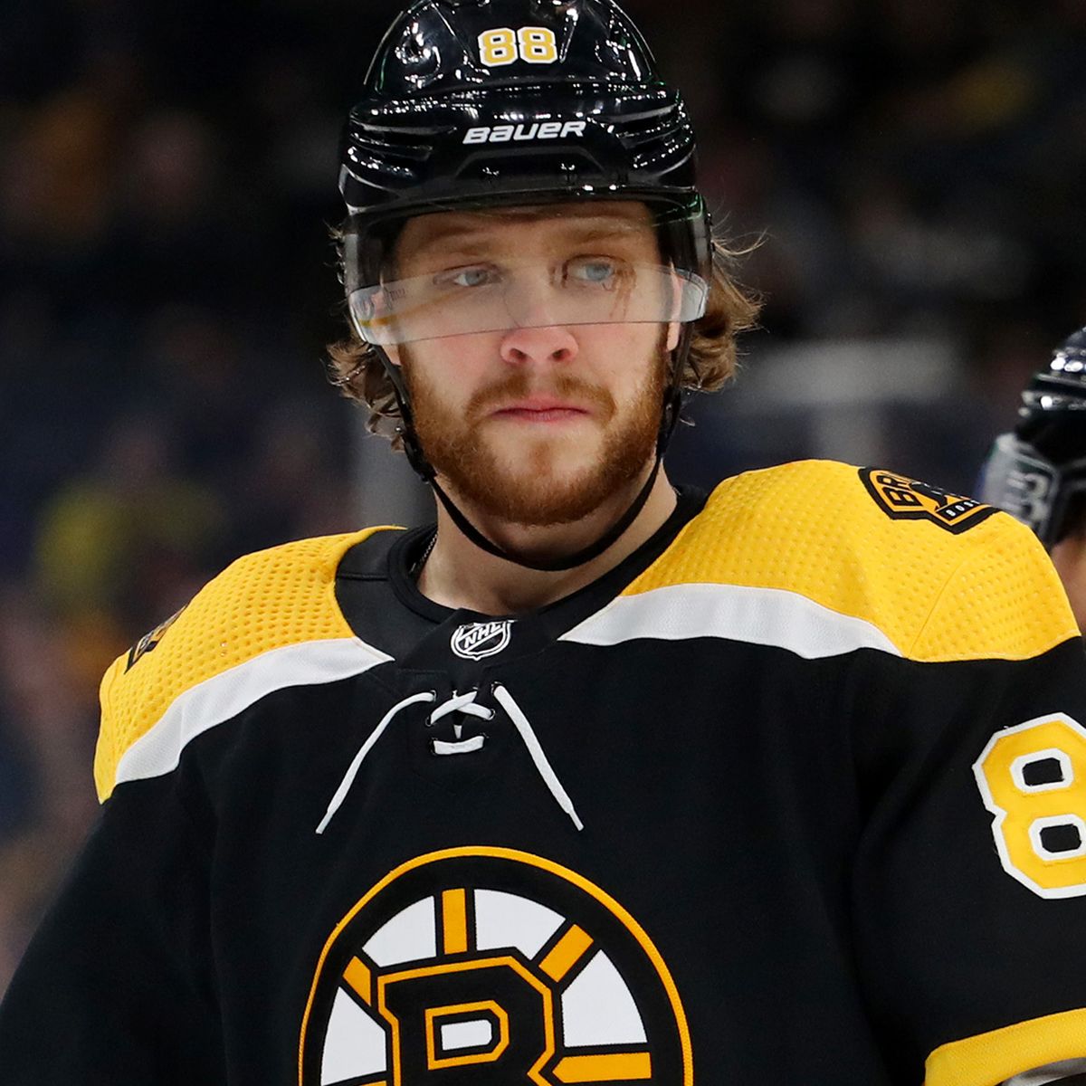 David pastrnak freundin