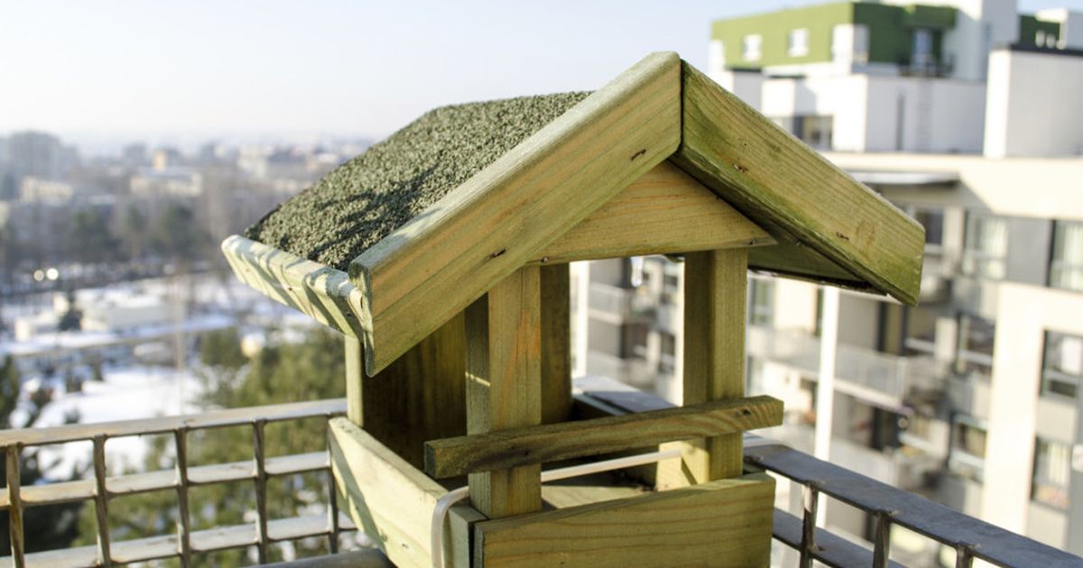 Vogelhäuschen Auf dem Balkon anbringen BUNTE.de