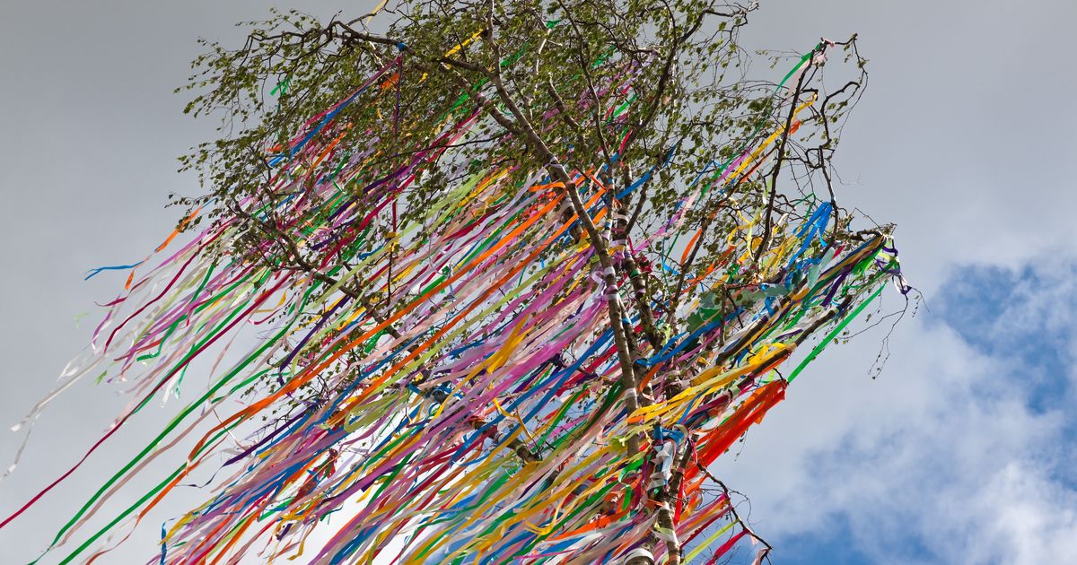 Maibaum für die Freundin Dieser Liebesbeweis ist einzigartig BUNTE.de