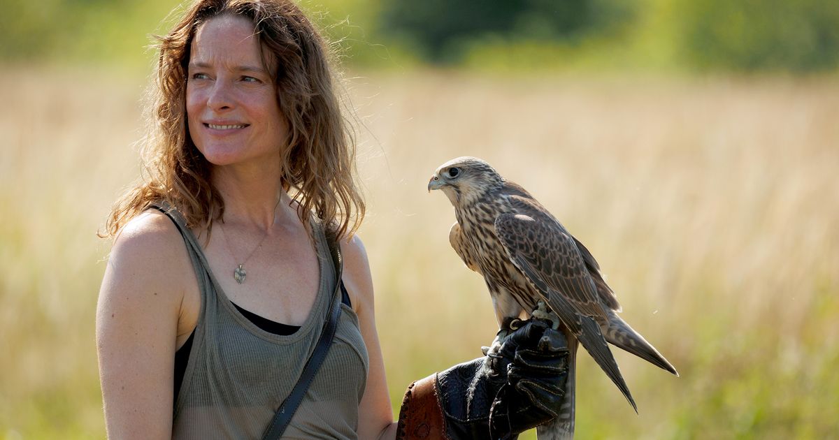 Anne RattePolle Star aus 