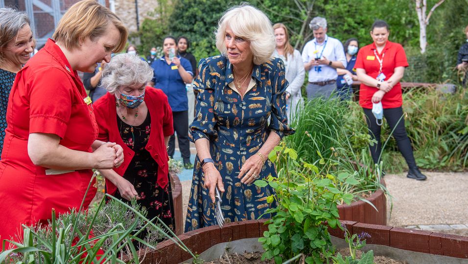 Königin Camilla: Beim Gärtnern vergisst sie die Zeit – bis ihr Körper "knackt und ächzst"