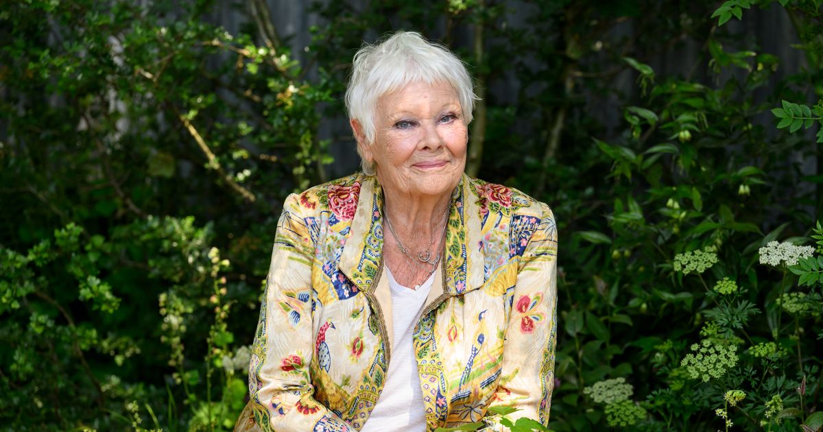 Judi Dench Sie kann fast nichts mehr sehen – und ist auf Hilfe angewiesen