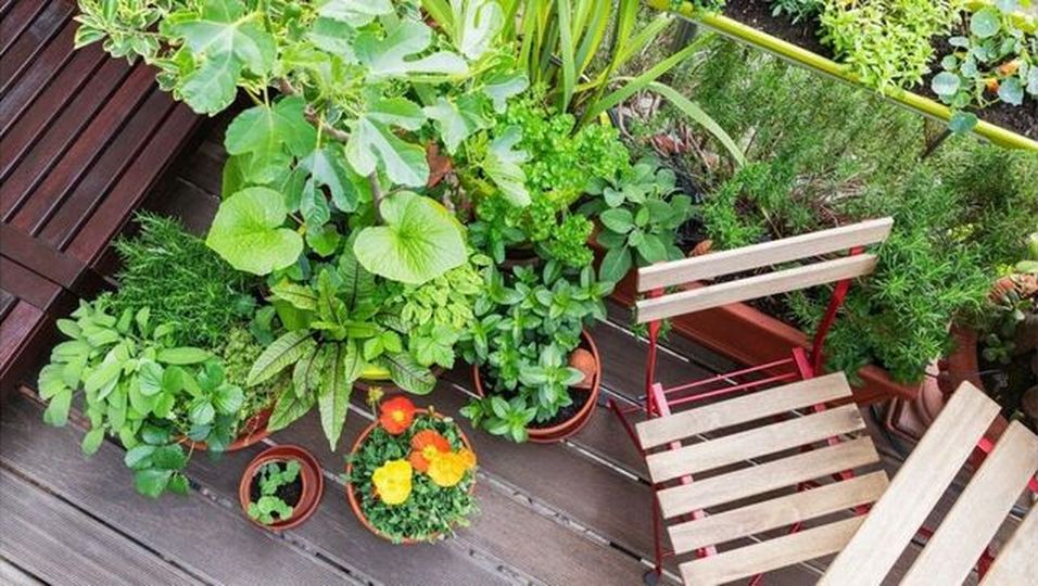 Wann ist es verboten? So oft darf man auf dem Balkon und im Garten
