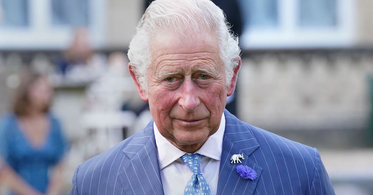 Termine abgesagt König Charles III. muss wegen Krebsbehandlung ins Krankenhaus