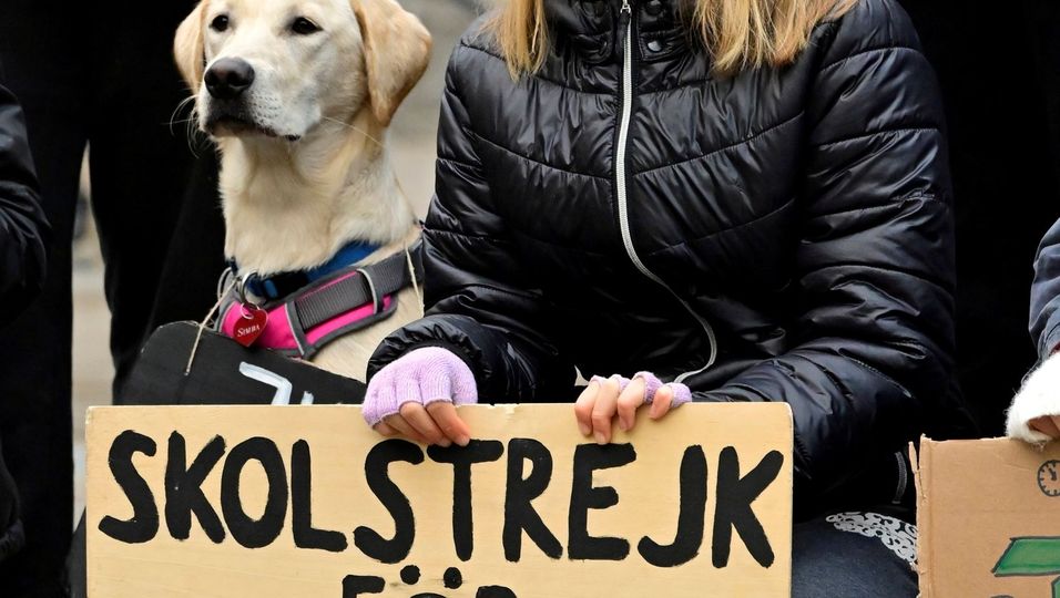 «Als ich 2018 angefangen habe, zu streiken, hätte ich nie damit gerechnet, dass das zu irgendetwas führen würde»: Greta Thunberg.