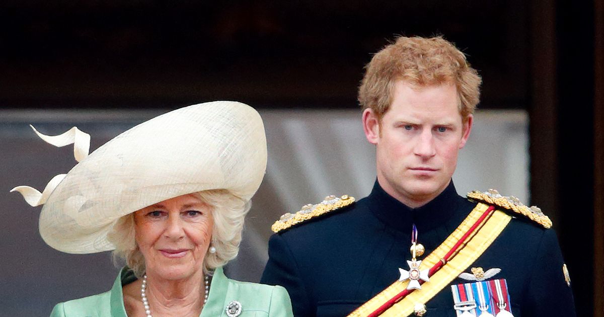Prinz Harry: Im Kampf für eine bessere Welt macht ihm ausgerechnet Camilla Konkurrenz