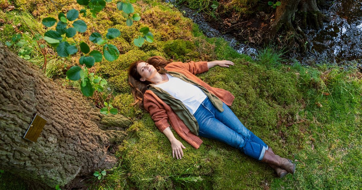 tierärztin dr mertens staffel 8 mediathek