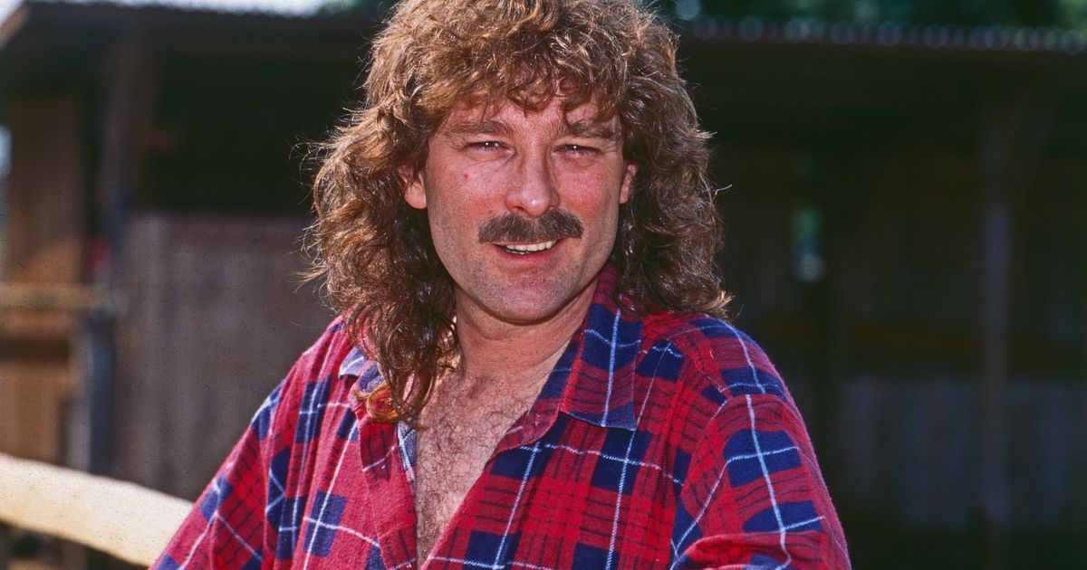 wie alt ist wolfgang petry