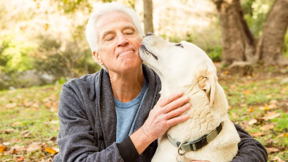 Gefährliche Bakterien Mann stirbt weil ihm Hund übers Gesicht