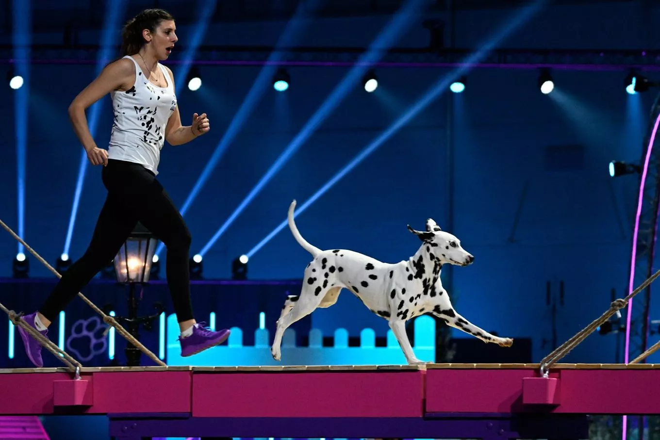 "Top Dog Germany" Tollerdoodle Bailey lehrt Frank Buschmann Trick