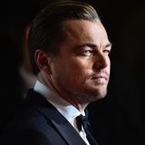Leonardo DiCaprio: Sein deutscher Cousin muss vor Gericht