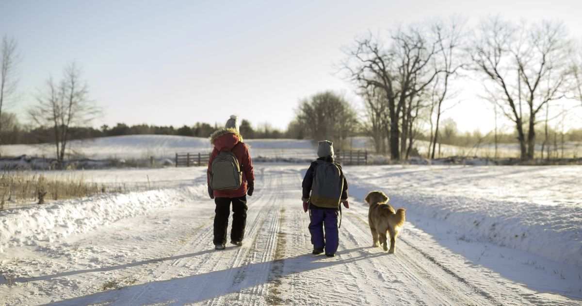 Hund sorgt dafür, dass Töchter sicher zur Schule kommen
