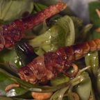'Da graust es mich!' - 'Perfektes Dinner'-Gastgeberin setzt ihren Gästen Insekten und Würmer vor