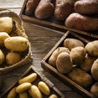 Kartoffelvergleich 