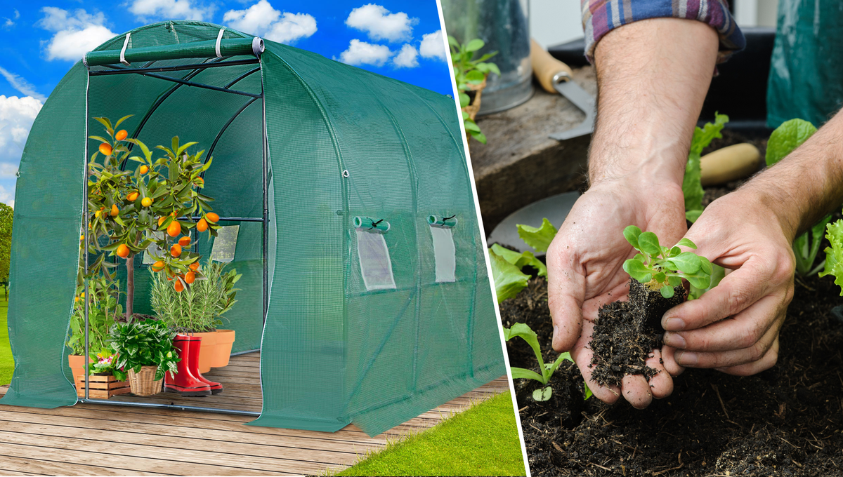 Foliengewächshaus für Gemüse aus dem eigenen Garten