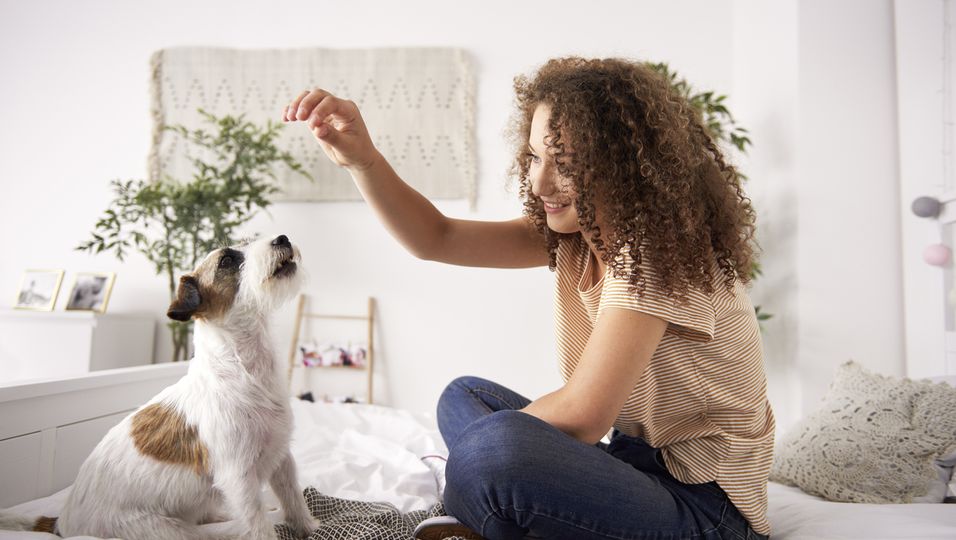 Hund erziehen Kommando "Sitz" Mit dieser Methode lernt dein Hund den Befehl am besten BUNTE.de