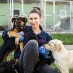 Anrufe im Tierheim: Menschen wollen Haustiere "auf Zeit"