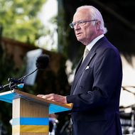 Carl Gustaf von Schweden: Während seiner Rede sorgte er mit Versprecher für Verwirrung