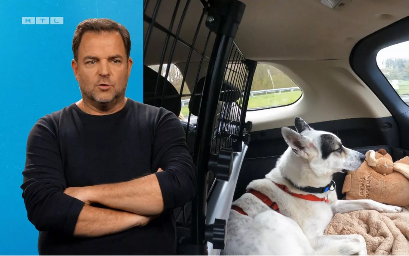 Was Ist Mit Martin Rütter Passiert www.bunte.de