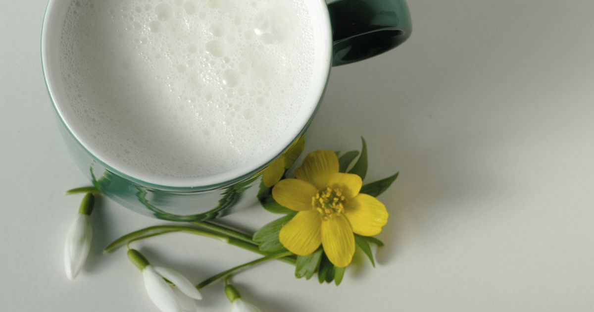 Ayran: Leckeres Joghurtgetränk selber machen | BUNTE.de