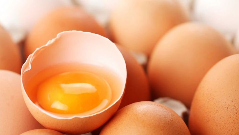 Alltag - Eier: Die Cholesterin-Lüge