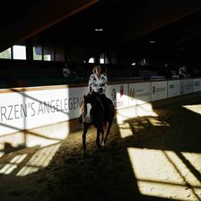 Gina Schumachers Liebe zu Pferden begann bereits in ihrer Kindheit, als sie auf Quarter Horses das Reiten erlernte. 