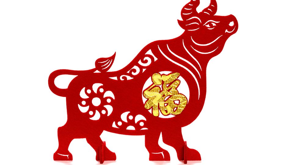 Symbolbild Jahr des Büffels