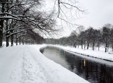 Am 27. Dezember 2012 postete Madeleine eine verschneite Landschaft in Schweden („Picture I captured of snowy Sweden“).