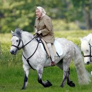 Queen Elizabeth - Dem Rat ihrer Ärzte zum Trotz: Sie reitet wieder 