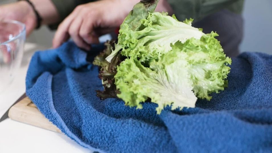 Sebastian Lege: Salat clever trocknen
