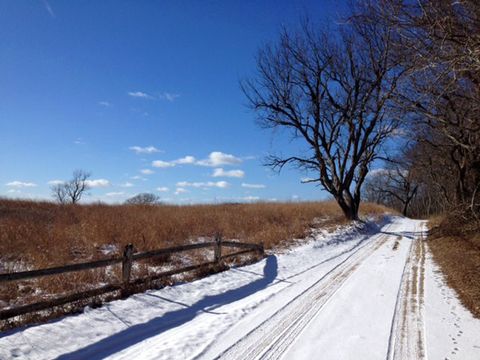 Samstags-Spaziergang: Am 2. Februar 2013 postete Madeleine diese gelungene Landschaftsaufnahme.