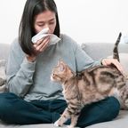 Allergische Frau streichelt Katze