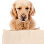 Hund bringt Einkauf