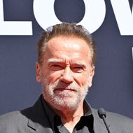 Arnold Schwarzenegger haut so schnell nichts um.