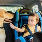 Kind im Kindersitz mit Hund 