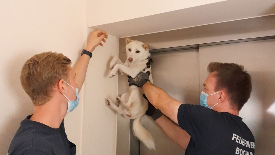 Zwei Feuerwehrmänner befreien an einer Aufzugstür in Bochum einen Hund aus einer misslichen Lage.