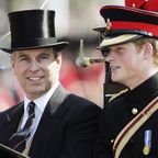 Prinz Harry & Prinz Andrew: Sie verbindet mehr, als man denkt 
