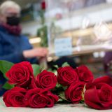 Rosen, Pralinen & Co: So teuer wird der Valentinstag in diesem Jahr