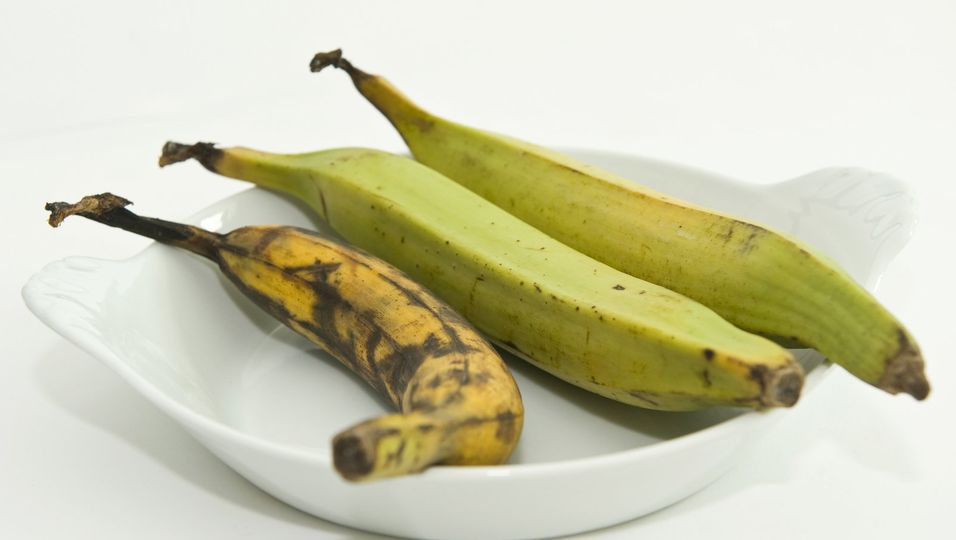 Sie sehen aus wie die normale Banane, schmecken aber anders: Kochbananen werden vor allem für herzhafte Gerichte verwendet.