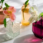 Parfum-Trend: Diese außergewöhnliche Duftnote ist wieder zurück